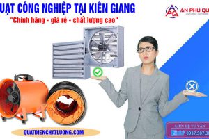 Quạt công nghiệp tại Kiên Giang 