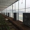 Quạt thông gió vuông Soffnet DF-138