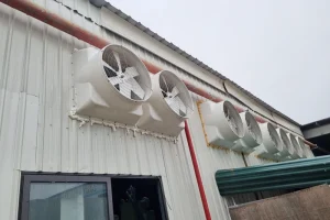3 Hệ thống thông gió nhà xưởng phù hợp, hiệu quả